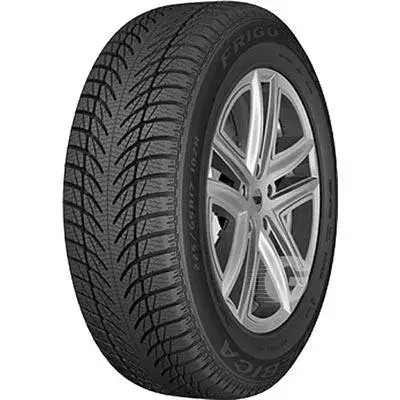 Winterreifen Debica 225/65 R17 106H TL Frigo SUV 2 Saisonangebot