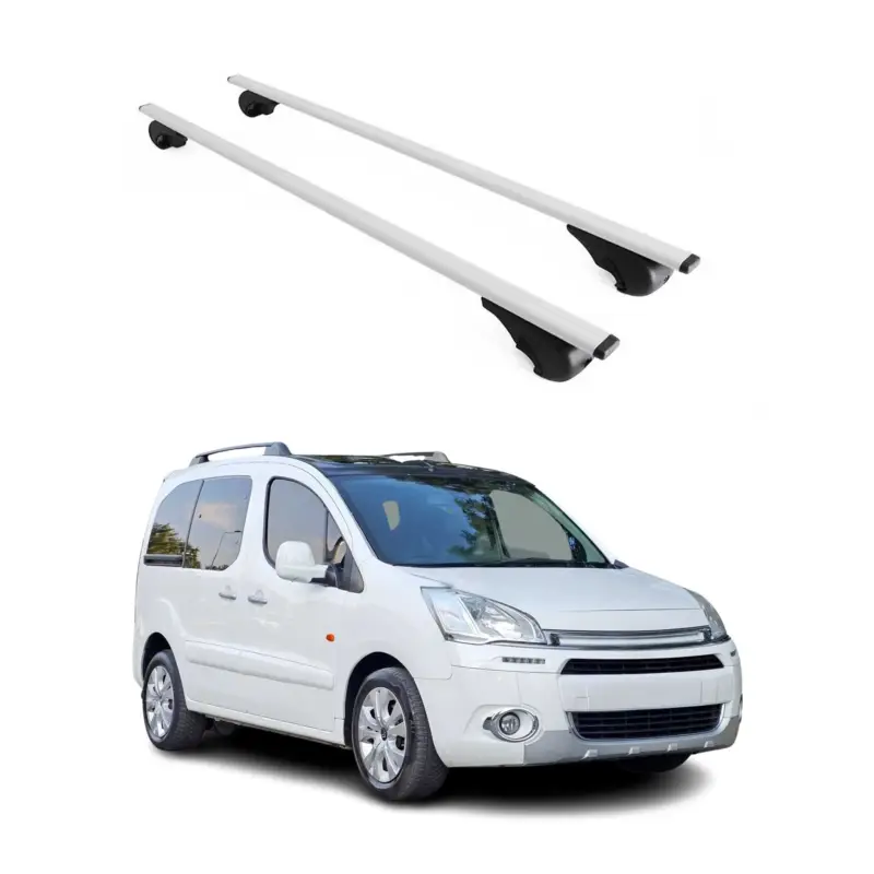 Dachträger Grundtäger für Citroen Berlingo 2008-2018 75kg Metall Silber 2 tlg Bestpreis